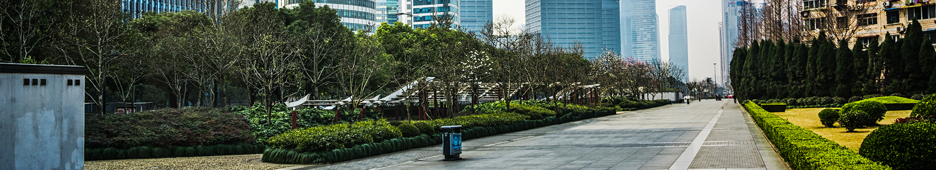 Ciudad con árboles al atardecer