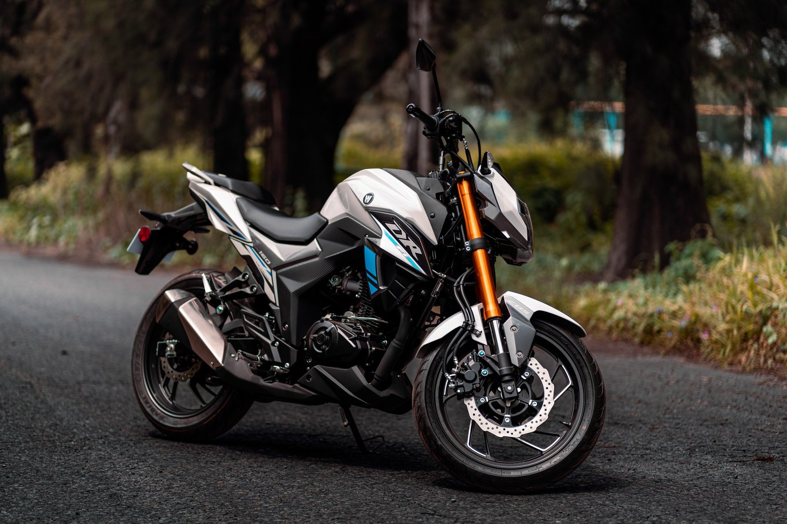 DR160 - vista 5
