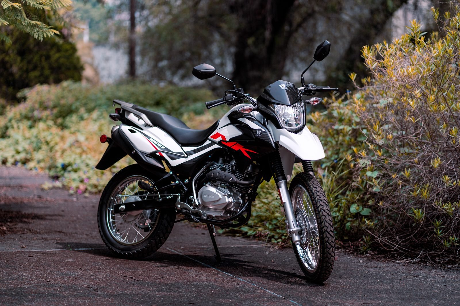 NK150S - vista 1